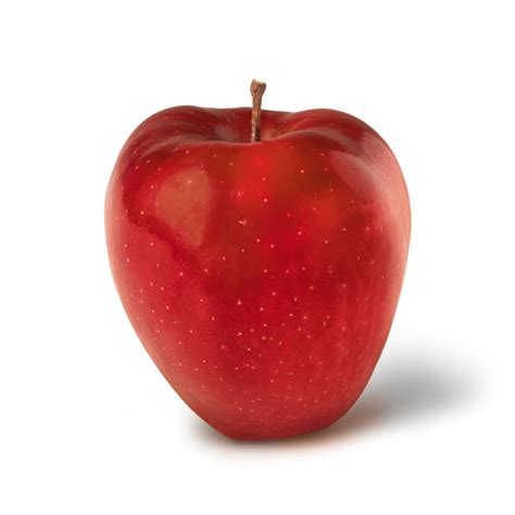 Image result for Apple System.Data