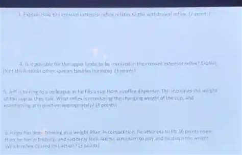 Image result for Crossed Extensor Reflex