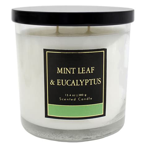 Mint Leaf & Eucalyptus Scented Jar Candle, 13.4oz