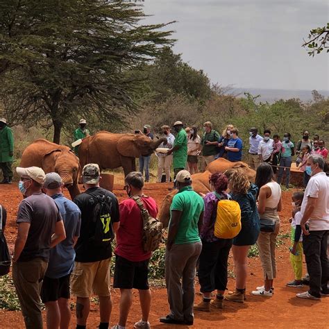 NAIROBI TOUR (2026) All You Need to Know BEFORE You Go (with Photos ...