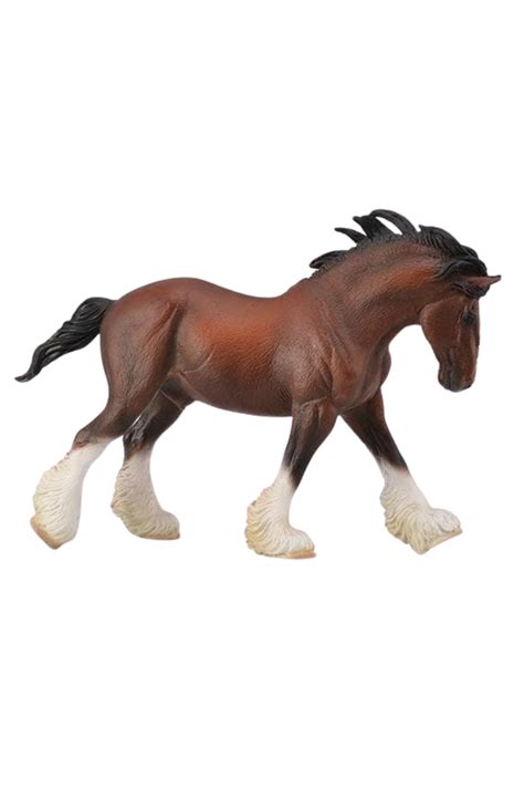 Clydesdale Stallion Bay – Tack Shack Of Ocala