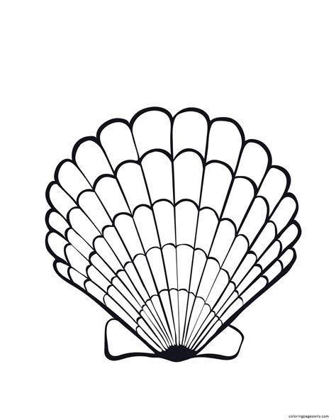 Clam Shell Coloring Sheet
