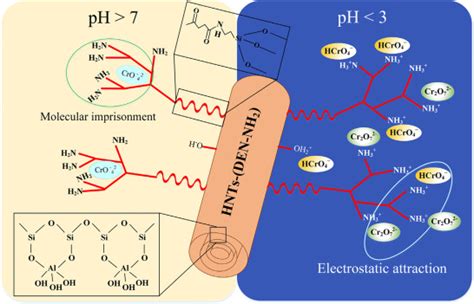 Covalent Substances Examples 的图像结果