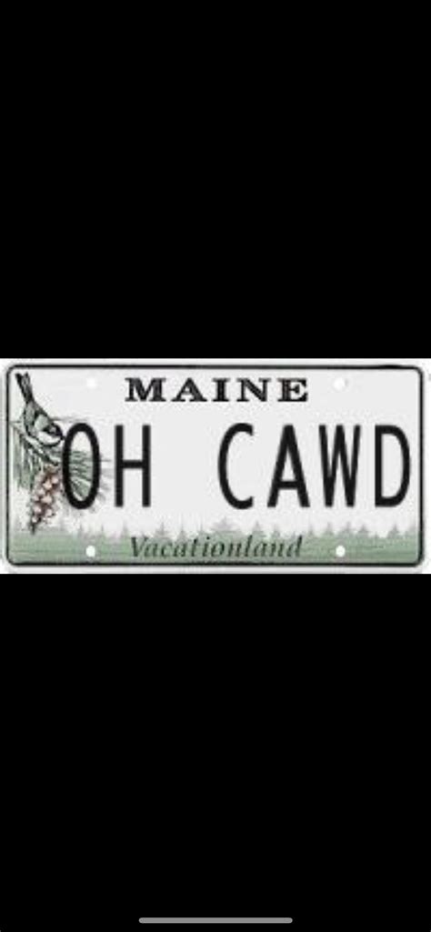 Maine Vanity License Plate. : r/FansHansenvsPredator