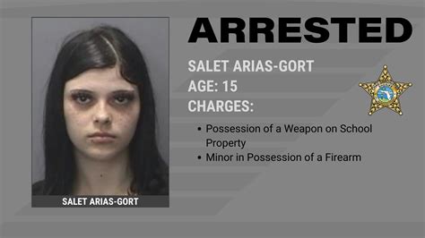 Student Arrested for Threatening a School Shooting | HCSO, Tampa, FL