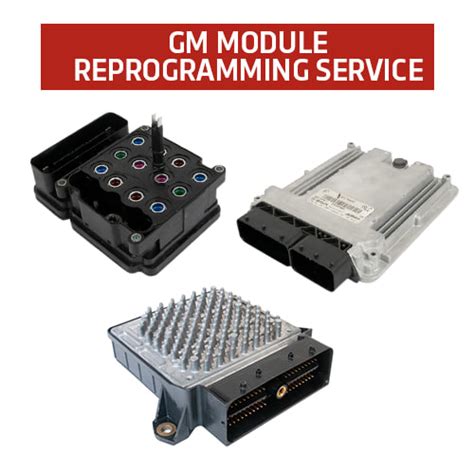 GM Reprogramming 的图像结果