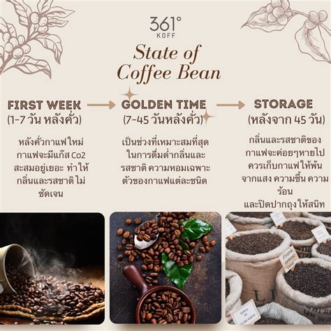 เมล็ดกาแฟคั่ว Natural Process Champion Rank 6 จากงานประกวดกาแฟรายการ TCE 2022 - 361koff - ThaiPick
