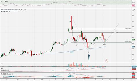 Image result for PLX Drawing