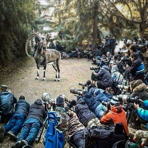 iBex Home Warranty (@ibexhw) • Instagram photos and videos