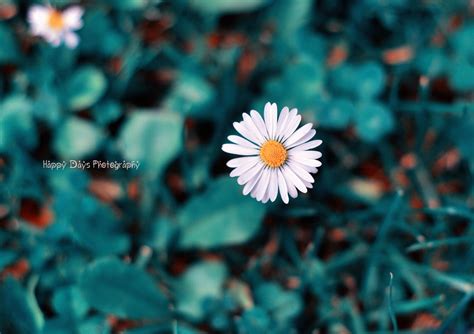 Unique Computer Wallpaper 的图像结果