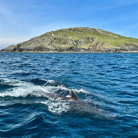 ACHILL SEASCAPE BOAT TOURS (Île d'Achill): Ce qu'il faut savoir pour ...