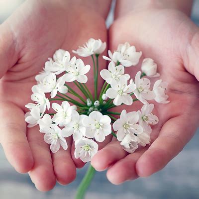 Obituaries In Waterbury - Connecticut - Sadly, we had to say goodbye to ...