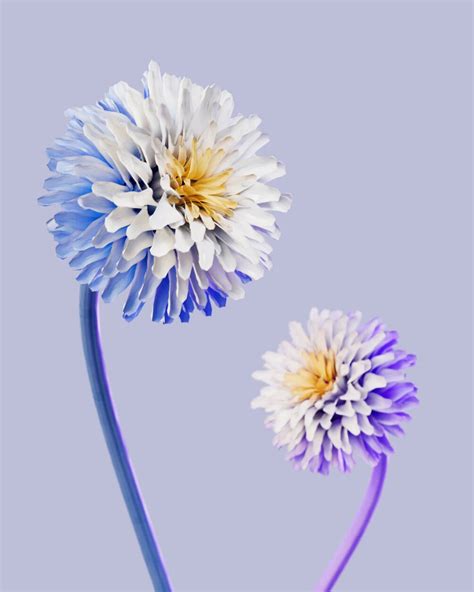 Image result for Modular Origami Flower