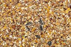 nourriture poules pondeuses aliment poule pondeuse pas cher nourriture poules pondeuses aliment poule pondeuse pas cher