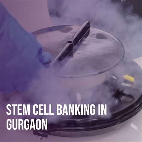 Stem Cell Preservation Cost in India: Everything You Need to Know
