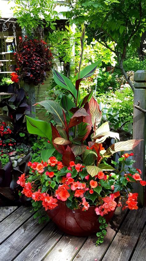 Best shade plants 30 gorgeous container garden planting lists – Artofit