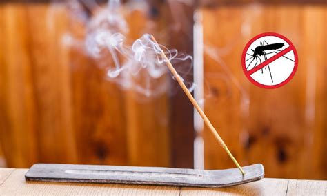 Why is Anti-Mosquito Agarbatti a must have in every house?