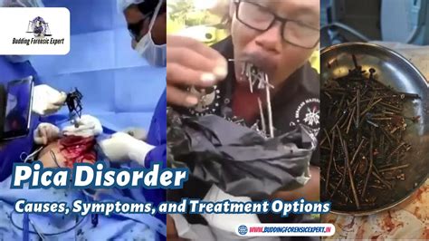 Pica Disorder: Causes, Symptoms, and Treatment Options