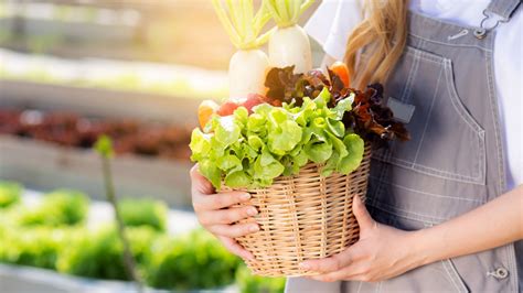 Local Food Producers 的图像结果