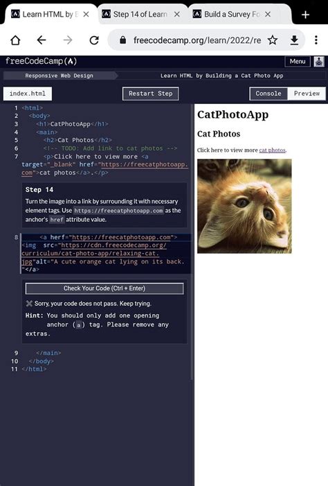 Image result for HTML Course Freecodecamp
