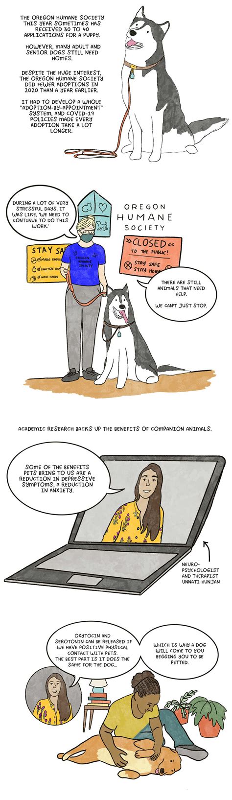 COMIC: Pet Adoption Climbed In COVID Times. Here's What Dogs Need Now ...