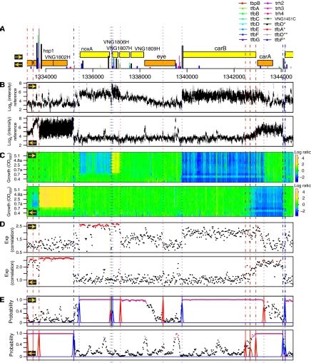 Transcriptome TreeMap 的图像结果