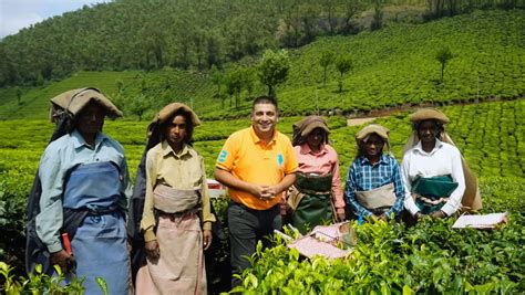 Tata Tea Museum (Munnar): History, Timings & Ticket Price!