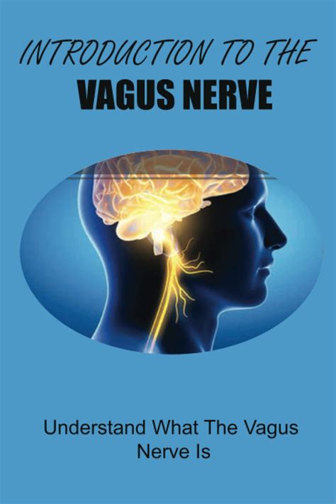 Buy Introduction To The Vagus Nerve: Understand What The Vagus Nerve Is ...