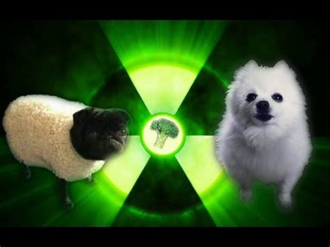 Doggo Radioactive 的图像结果