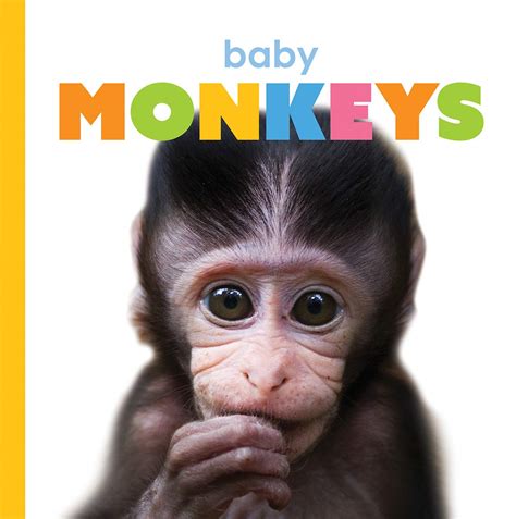 Baby Monkeys (Starting Out) : Riggs, Kate: Amazon.in: Books
