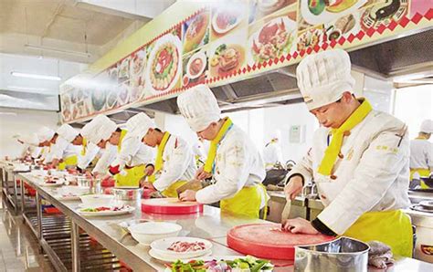 2017为啥学厨师 来看烹饪行业大数据分析_学厨资讯_陕西新东方烹饪学校
