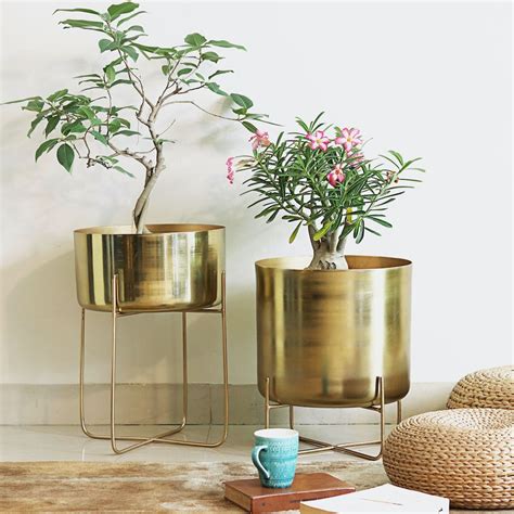 Buy Beautiful Brass Planters Online - Mora Taara