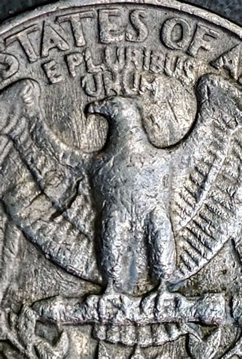 Back again. 1983 P Spitting Eagle Ran Over 27 times | Coin Talk