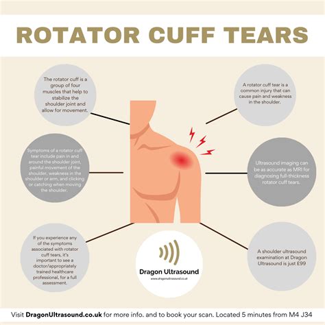 Rotator Cuff Tears — Dragon Ultrasound
