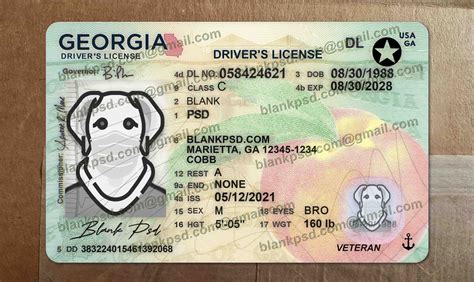 Image result for Fake Drivers License Back