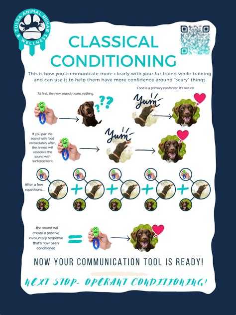 Image result for Classical Conditioning Learning