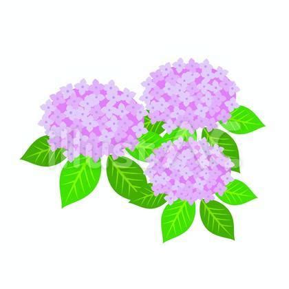 vs Code.html Not Calling JavaScript 的图像结果