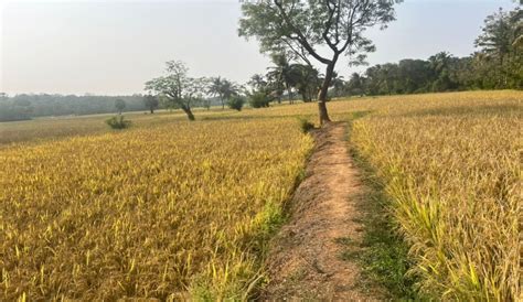 Palakkadproperty.in: Real Estate | Property in Palakkad | Buy/ Sale ...