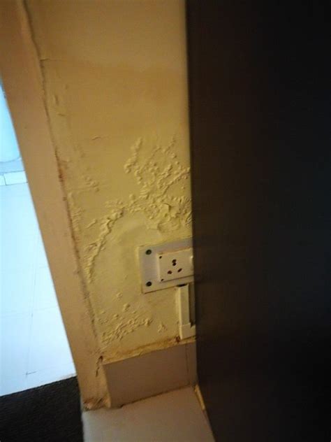 THE RIVERSIDE LODGE (Guwahati, Assam) - Lodge Reviews & Photos ...