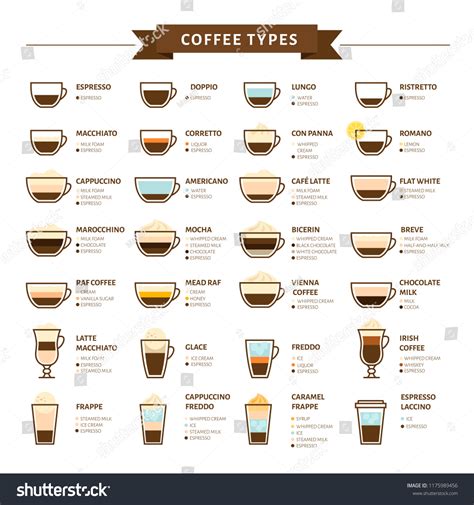 Types Coffee Vector Illustration Infographic Coffee Stock Vector ...