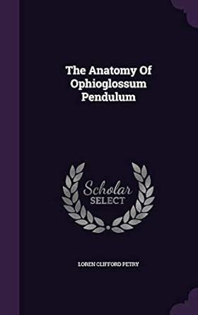 The Anatomy Of Ophioglossum Pendulum : Petry, Loren Clifford: Amazon.in ...