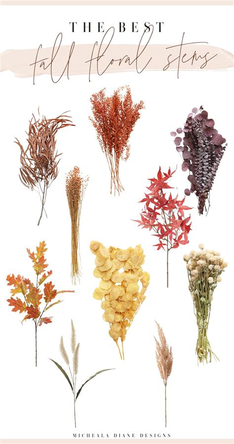 Best Fall Floral Stems for Your Autumn Decor