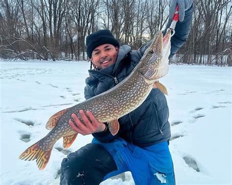 Central NY angler pulls in pretty pike from Barge Canal in Rome ...