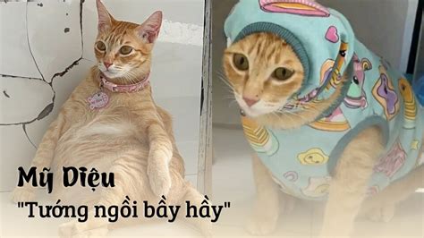 AMBIL SEKARANG