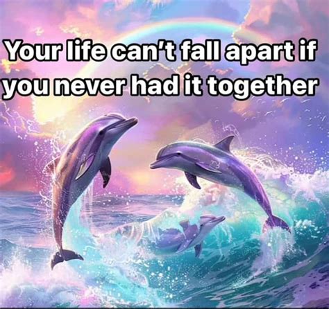 Smiling Dolphin Memes: 25 of the Newest Happy Meme