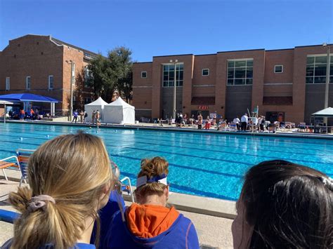 Florida Gators Swimming 的图像结果