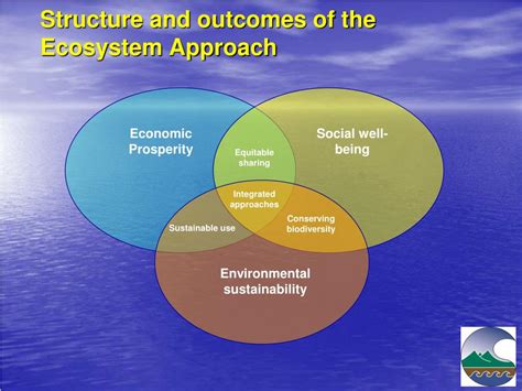 Image result for Ecosystem Approach