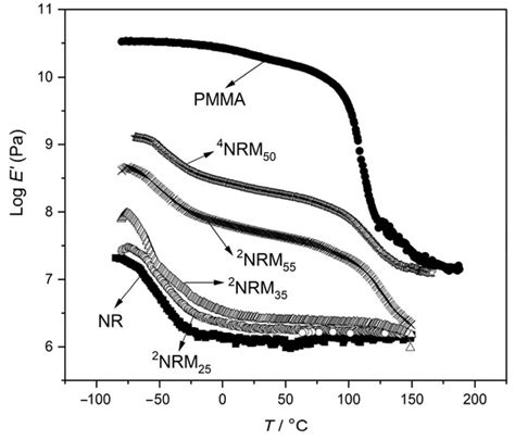 Phase Behavior of NR/PMMA Semi-IPNs and Development of Porous Structures