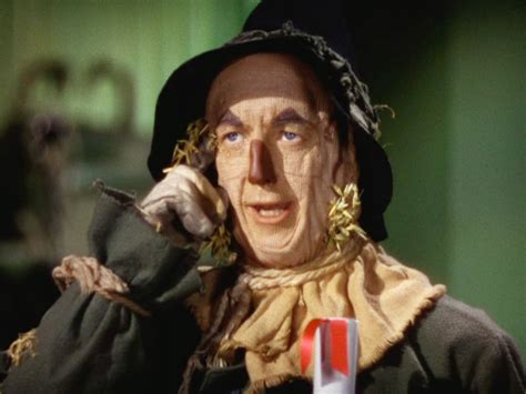 Wizard Of Oz Scarecrow Face