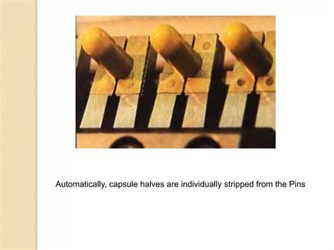 Capsule Shell Manufacturing Process 的图像结果